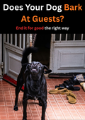 DOES YOUR DOG BARK AT GUESTS