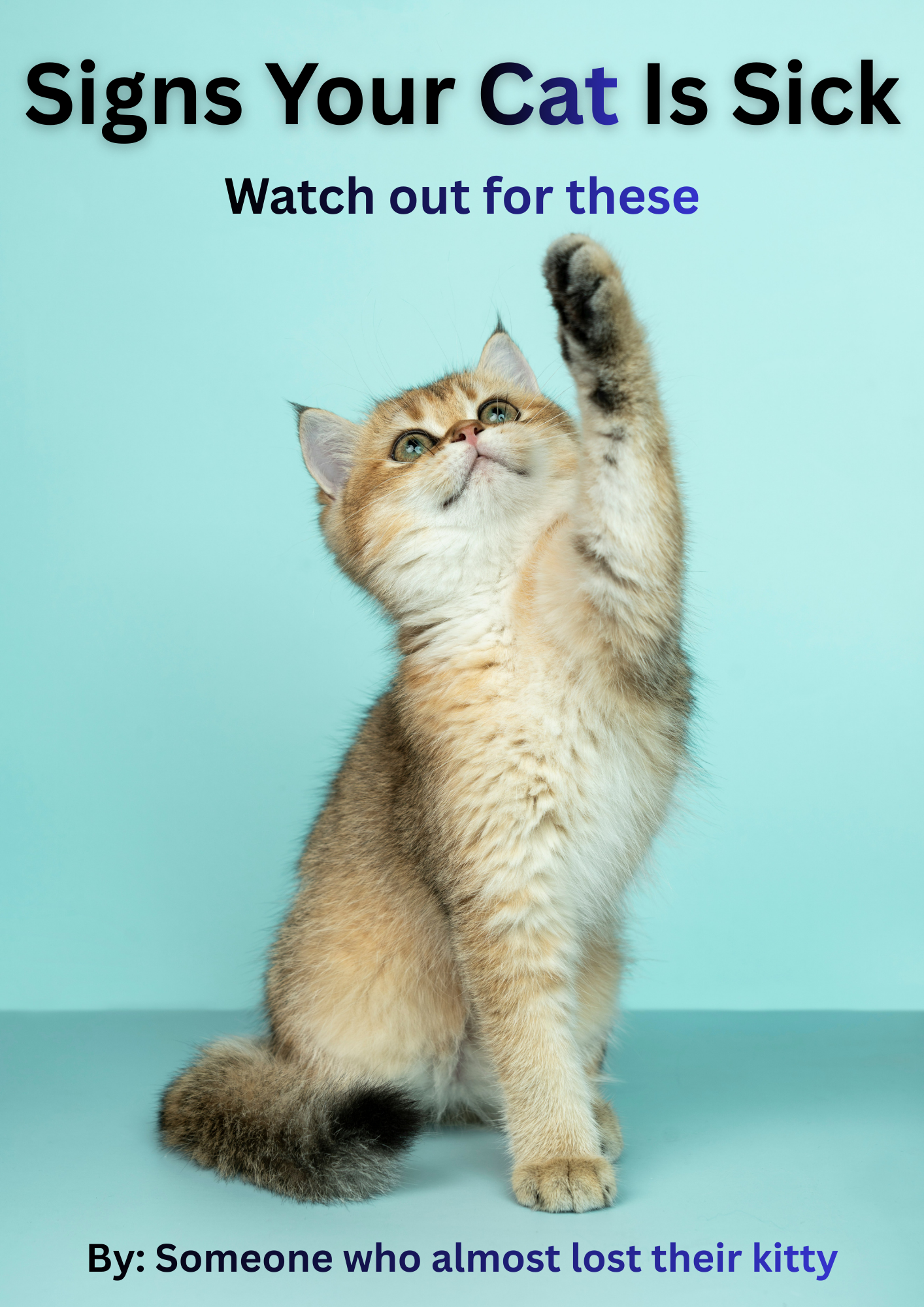 SIGNS YOUR CAT IS SICK