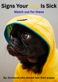 SIGNS YOUR PUP IS SICK